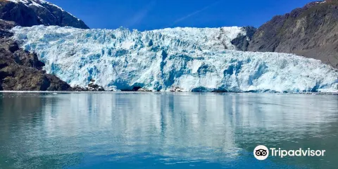 Holgate Glacier