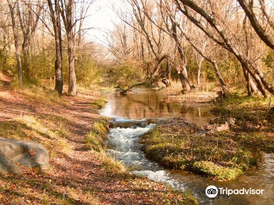 1_Balneario Las Jarillas