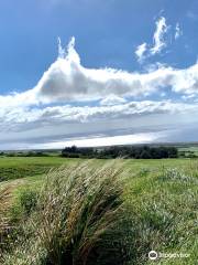 Kohala Mountain Range