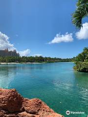 Marine Habitat at Atlantis