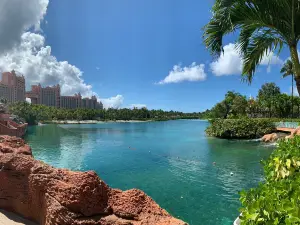 Marine Habitat at Atlantis