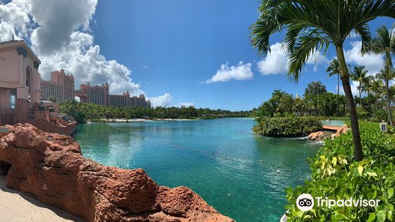 Marine Habitat At Atlantis