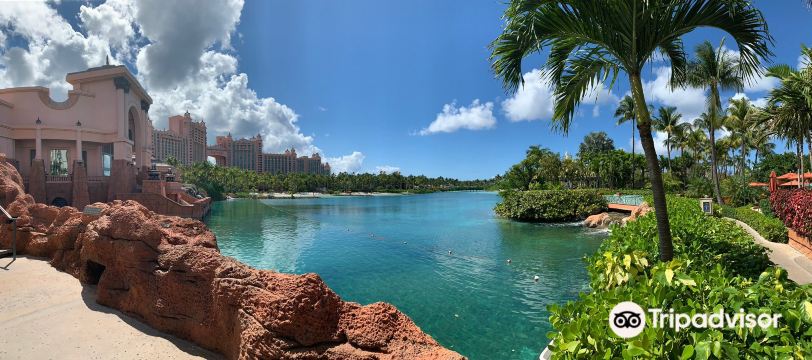 Marine Habitat At Atlantis