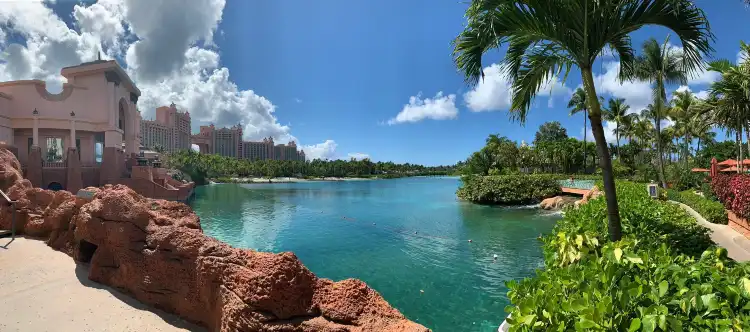 Hotels near Marine Habitat At Atlantis