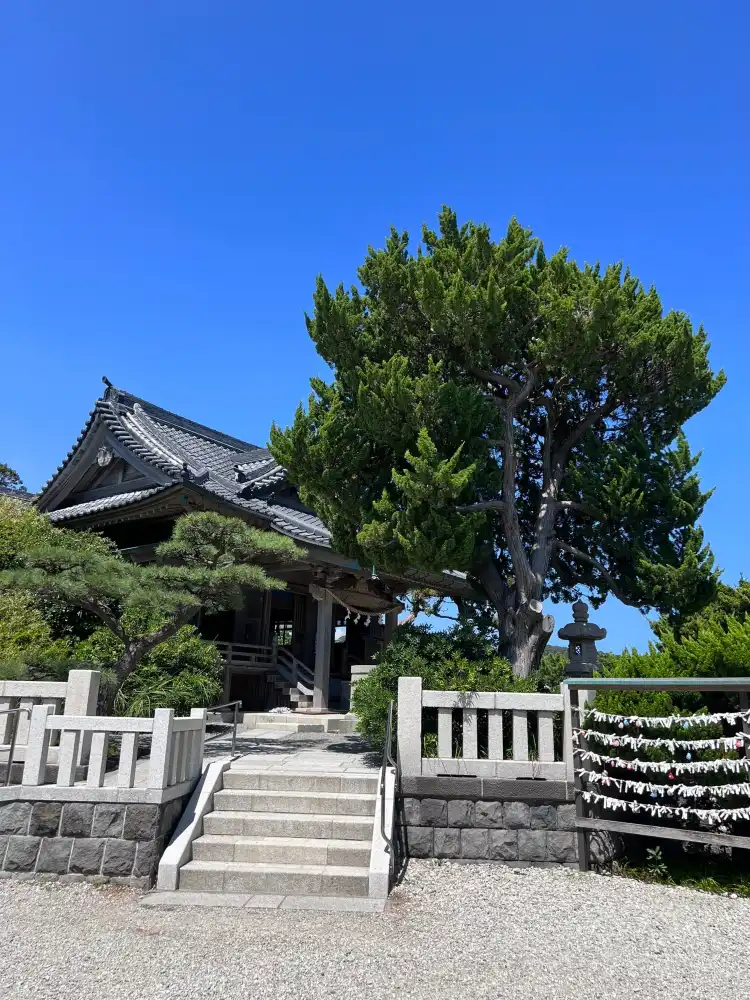Hotels in Hayama