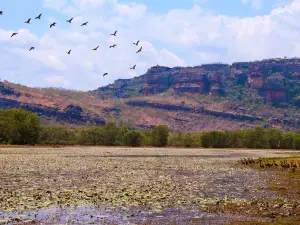 Anbangbang Billabong