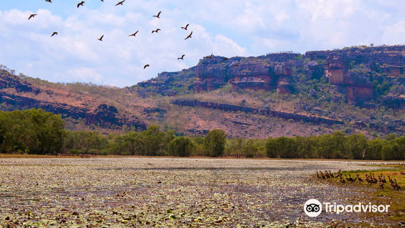 Kakadu