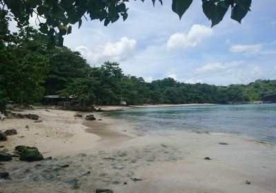 Winnifred Beach