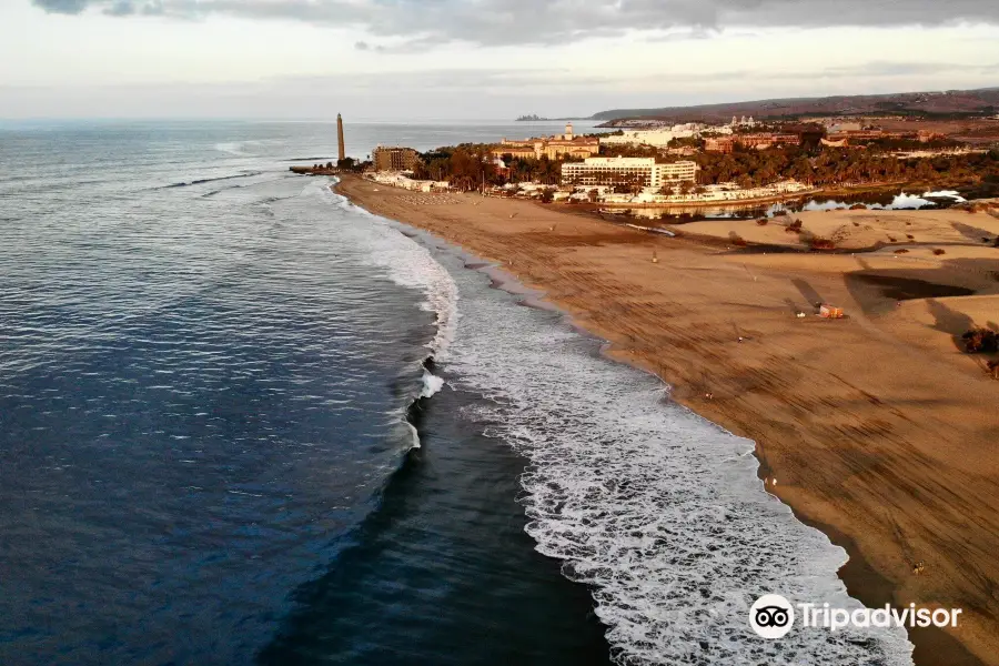 Reserva Natural Especial de Las Dunas de Maspalomas