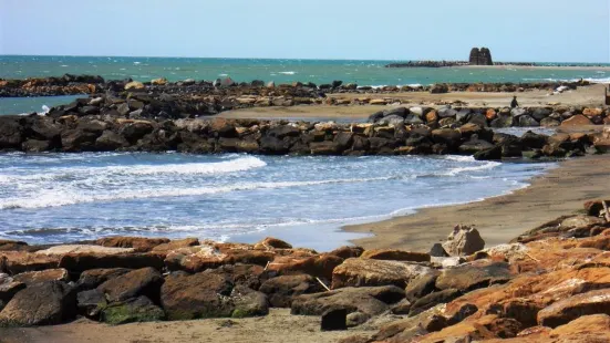 Ingresso Monumento naturale Palude di Torre Flavia