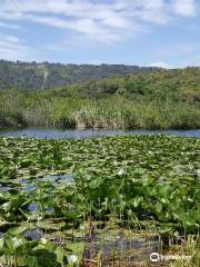 Riserva Naturale Oasi WWF Cratere degli Astroni