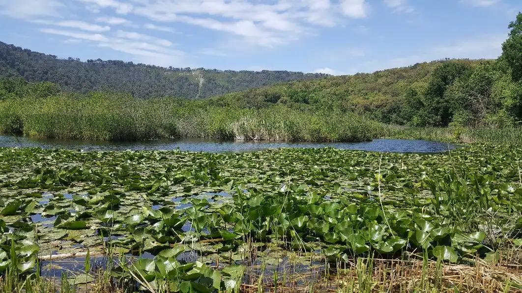 Hotel in zona Riserva Naturale Oasi WWF Cratere degli Astroni