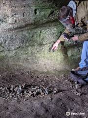 Wemyss Caves