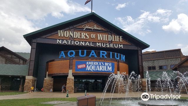 Wonders Of Wildlife National Museum & Aquarium