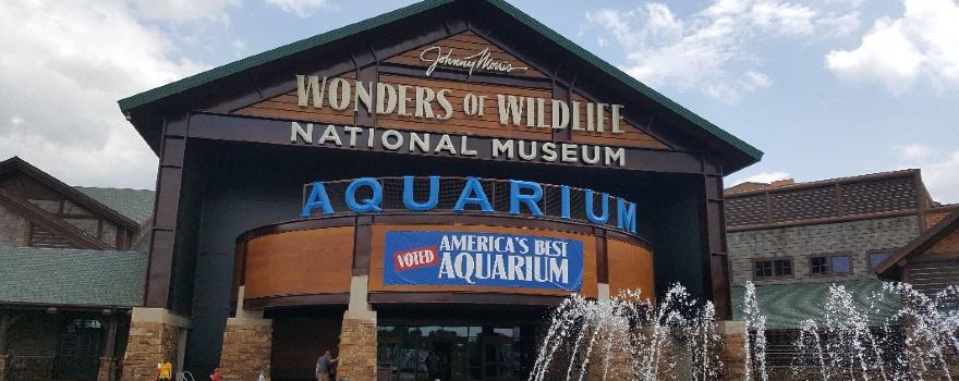 Wonders Of Wildlife National Museum & Aquarium