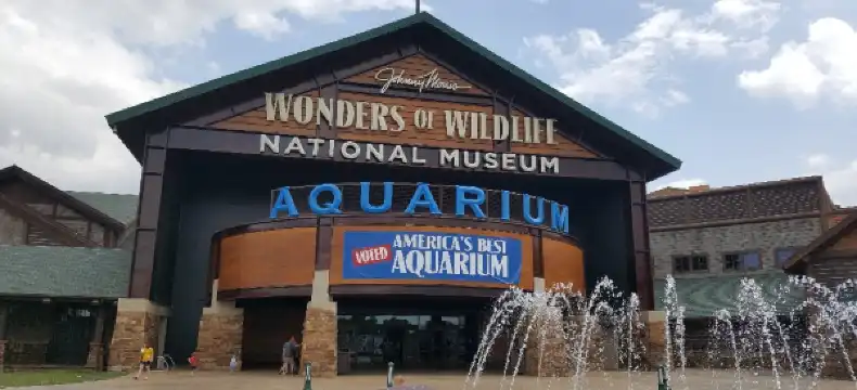 斯普林菲爾德酒店