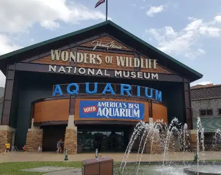 斯普林菲爾德源宿飯店住宿