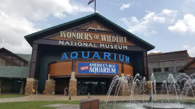 Element Unterkünfte in Springfield