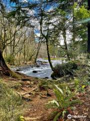 Big Creek Fish Hatchery