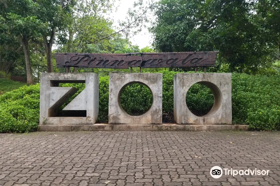 Pinnawala Zoo