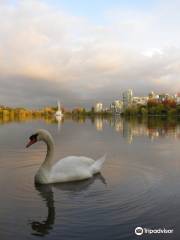 Stanley Park Nature House on Lost Lagoon