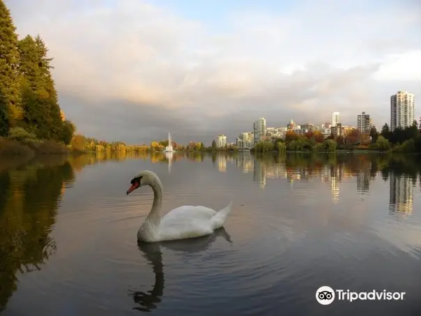 Stanley Park Nature House on Lost Lagoon