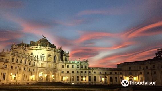 Royal Palace of Turin + Oriental Art/Egypt/Juventus Museum + Stupinigi Palace