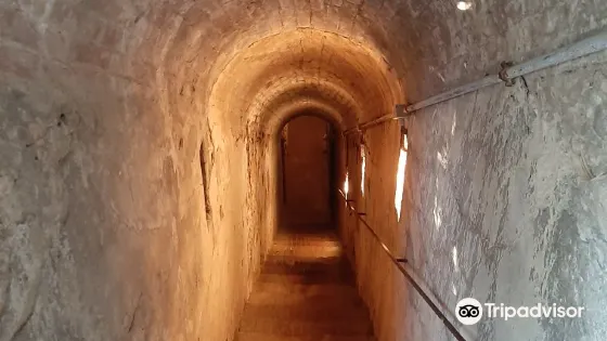 Il Parco Archeologico Comunale della Villa Romana di S.Vincenzino