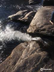 Sonoma Falls