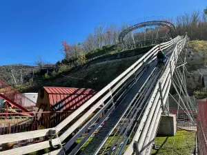 The Goat Coaster at Goats on the Roof