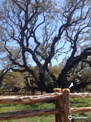 Goose Island State Park