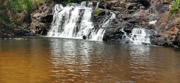 Cajuru
