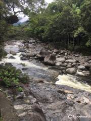 Gray Line Australia - Cairns