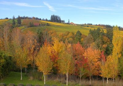 Red Ridge Farms