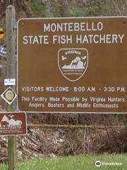 Montebello State Fish Hatchery