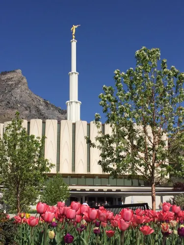 Provo