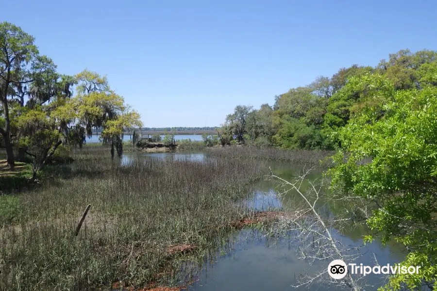 Spanish Moss Trail