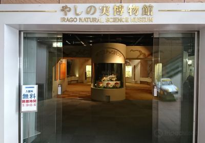 Yashinomi Museum