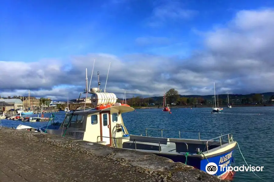 Dungarvan Offshore Charters