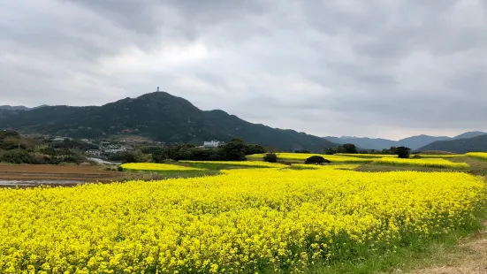 魚津ケ崎公園