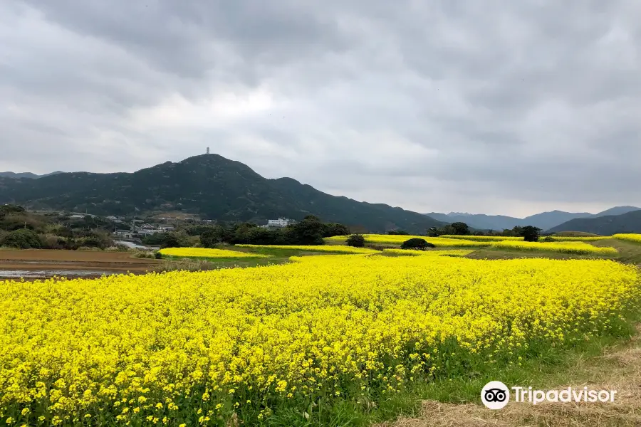 魚津が崎公園