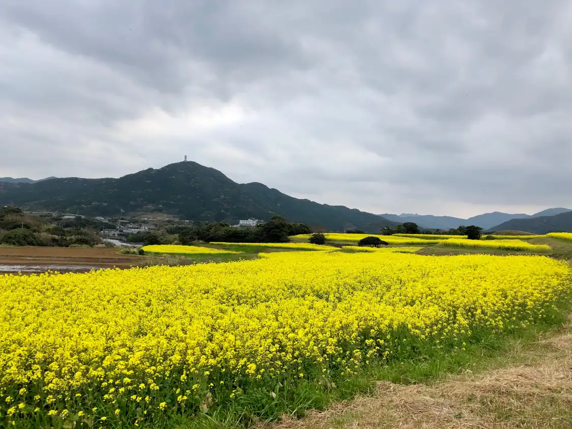 Hotels near Gyogasaki Park