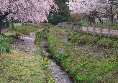 Nobidome Park