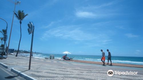 Armacao beach