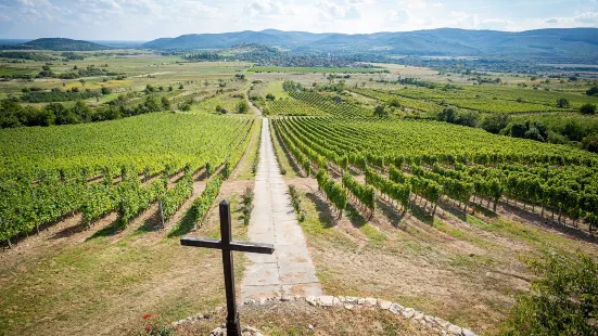 Béres Vineyard and Winery