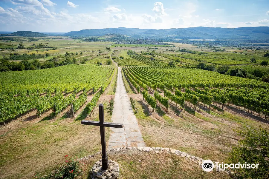 Béres Vineyard and Winery