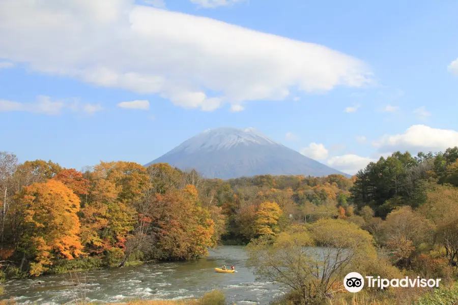 Hokkaido Lion Adventure