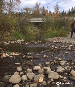 McMillan Creek Fishing Park