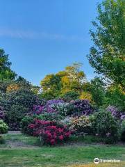 Langley Park Country Park