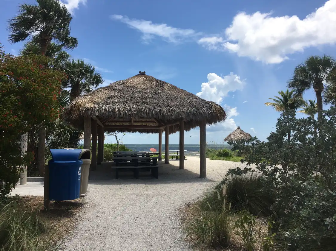 Hotels near Newton Park